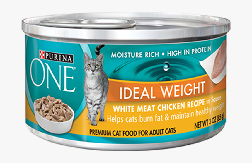 cat food 